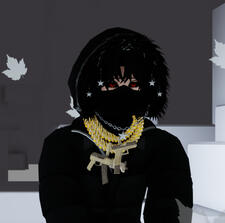 Part of Account Roblox